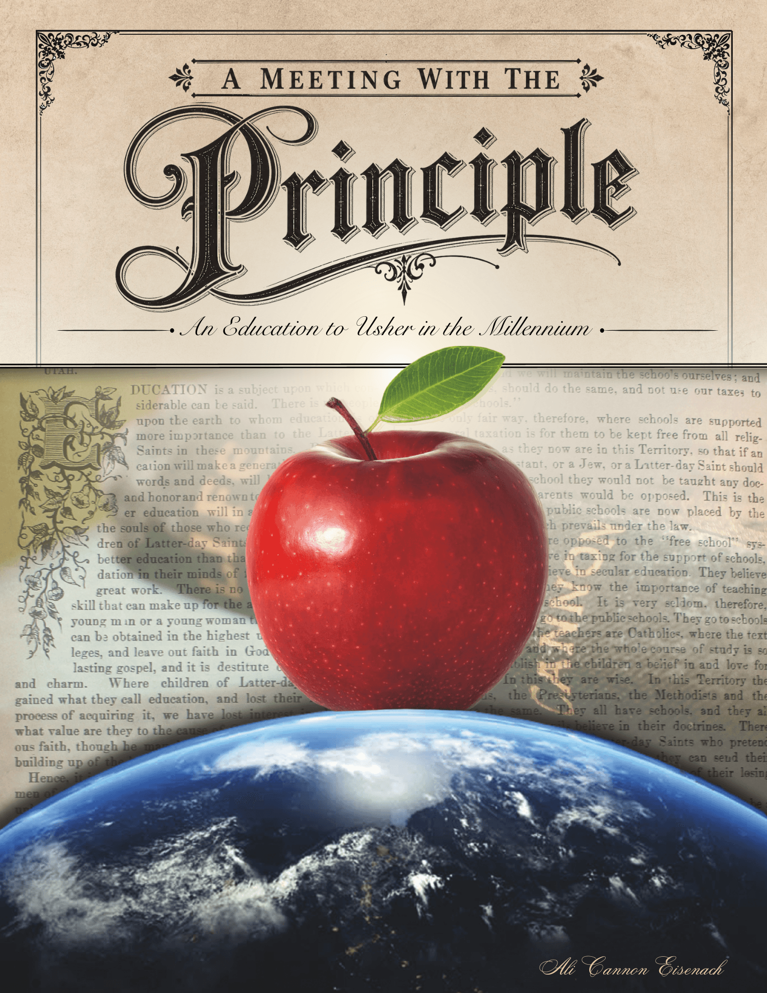 A Meeting with the Principle book cover